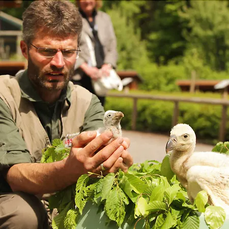 Natur-resort Tripsdrill 2*