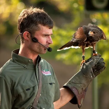 Holiday park Natur-resort Tripsdrill Cleebronn