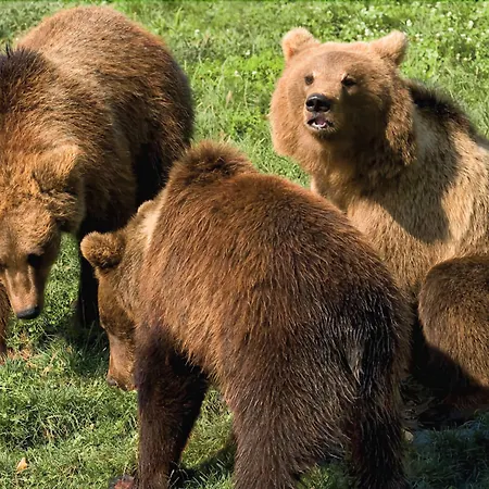 Natur-resort Tripsdrill פארק נופש 2*