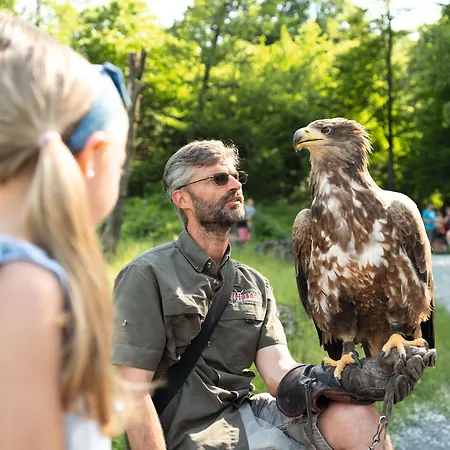 Ferienpark Erlebnispark Tripsdrill Natur-resort 2*