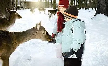 Natur-resort Tripsdrill منتزه العطل