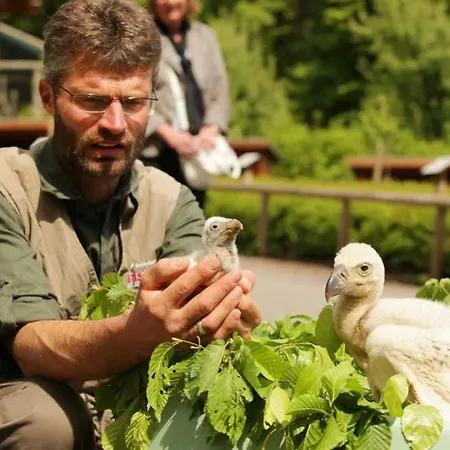 Natur-resort Tripsdrill Cleebronn