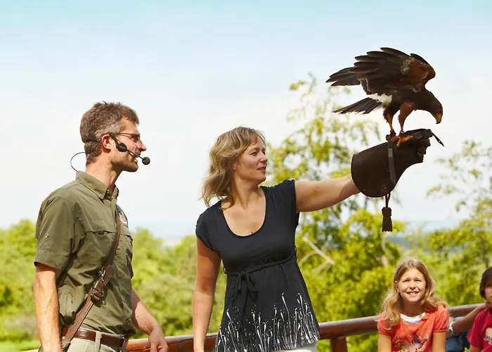 Natur-resort Tripsdrill Holiday park