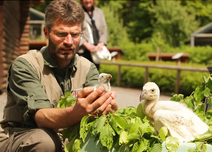 Natur-resort Tripsdrill 2*