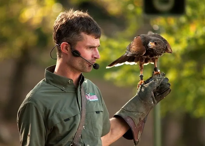 Holiday park Natur-resort Tripsdrill Cleebronn