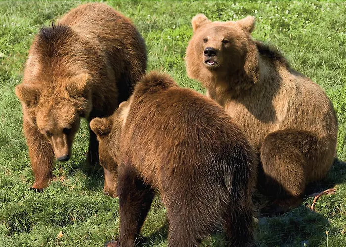 Natur-resort Tripsdrill Holiday park 2*